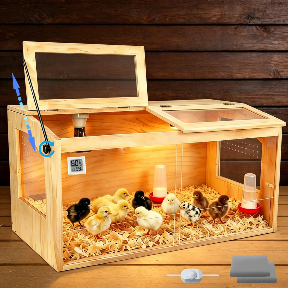 JOGEPEYO chicken brooder box setup highlights sturdy pine wood and clear viewing access.