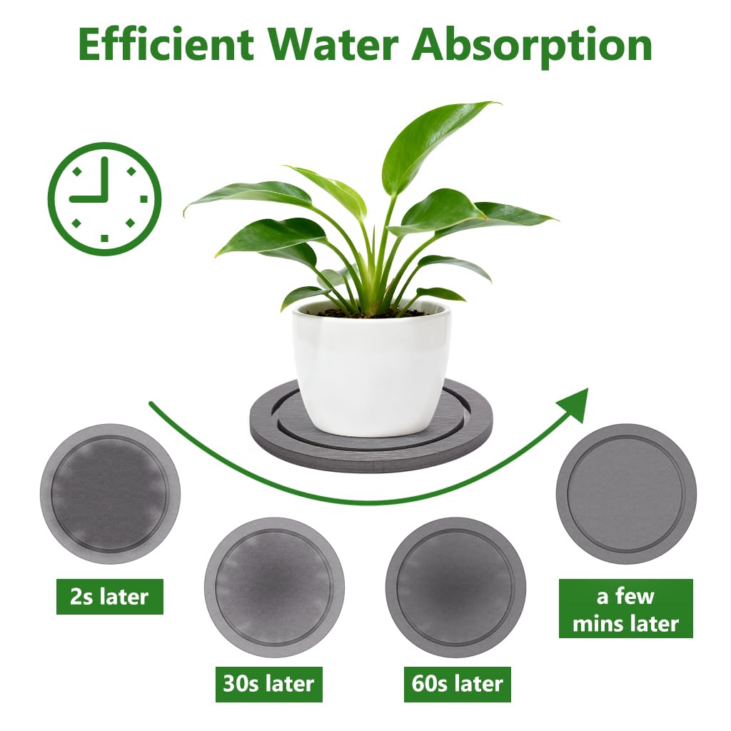 Johamoo stone saucer modern gray design for stylish plant setups.