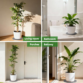 Johamoo vanity drip tray organizes bathroom surfaces and reduces water mess.