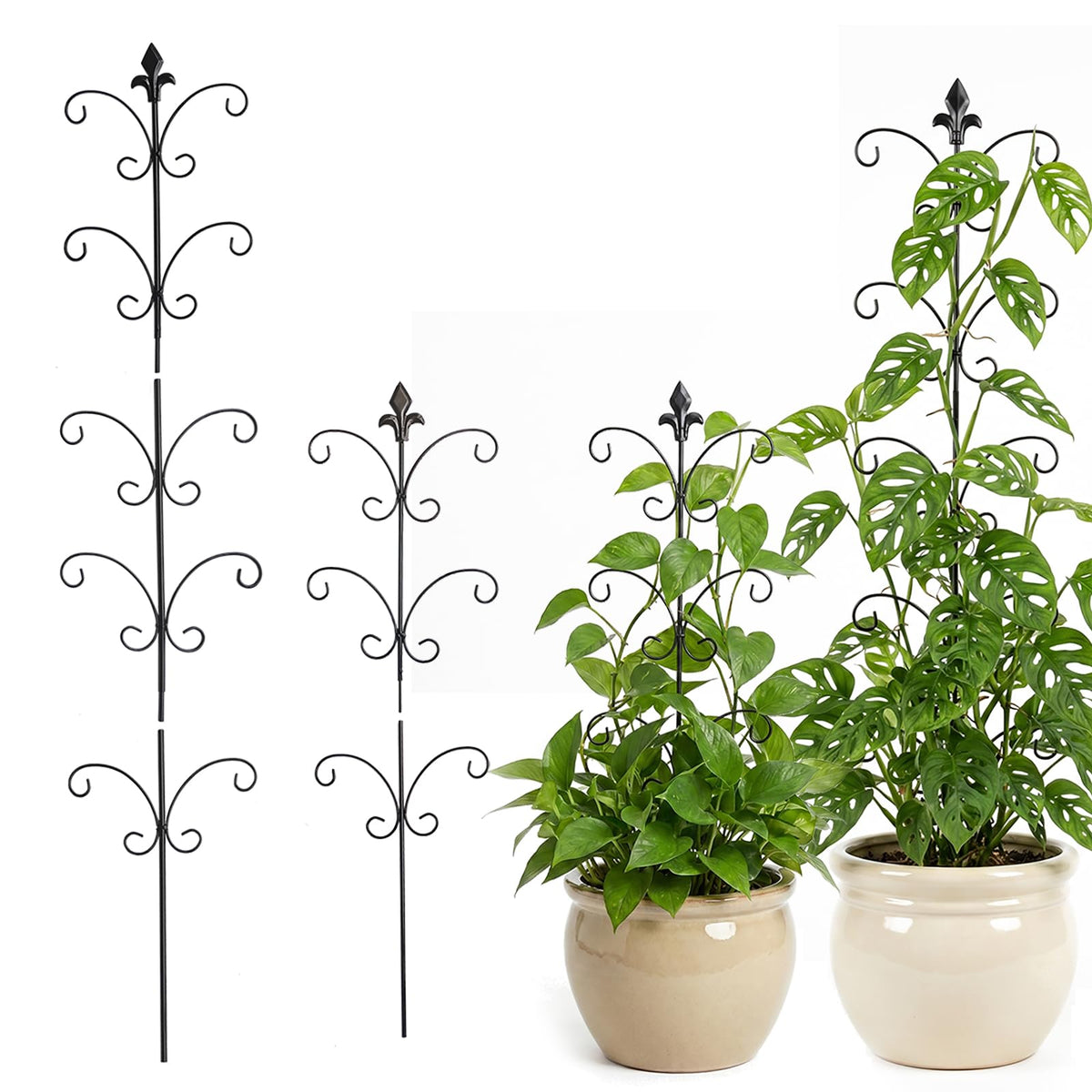JoinGreen metal Monstera support 31inch assembly stabilizes tall vines