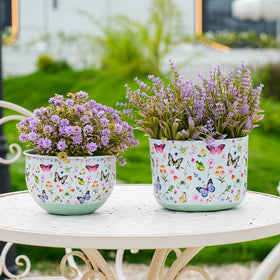 Joint Honglin butterfly planter large adds color to indoor shelves