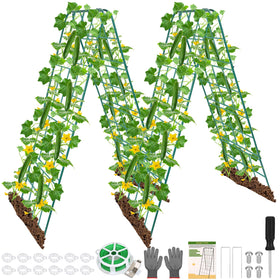 Jollidecor 2-pack cucumber trellis with dual-sided frame supports climbing vines.