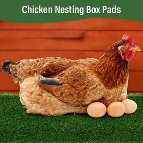 Jollidecor green artificial grass nest pad shows soft surface and drainage.