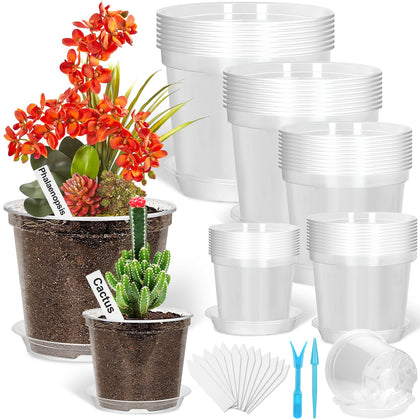 Jollidecor clear 3-inch pot with drainage for seedling starts and root monitoring