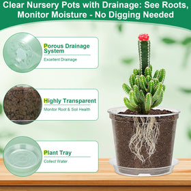 Jollidecor clear 4-inch pot with drainage for small plants and easy watering