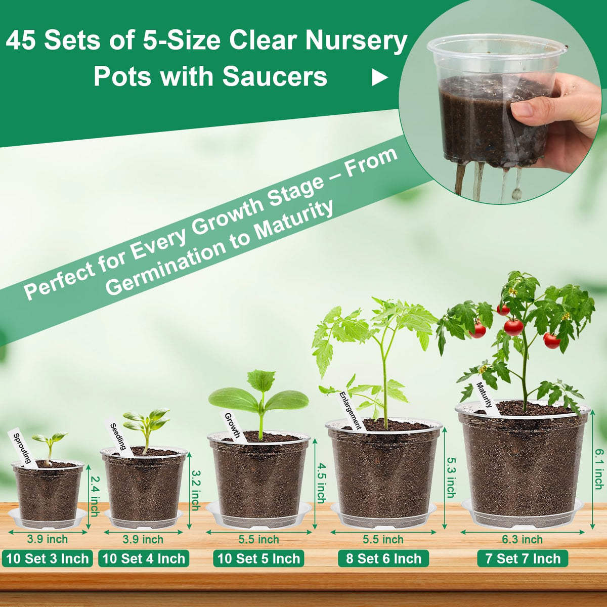 Jollidecor clear 5-inch pot with drainage ideal for herbs and flowers