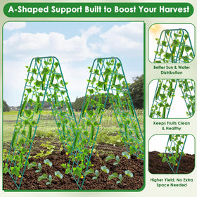 Jollidecor trellis supports cucumber, tomato, bean, pea, and grape outdoors.