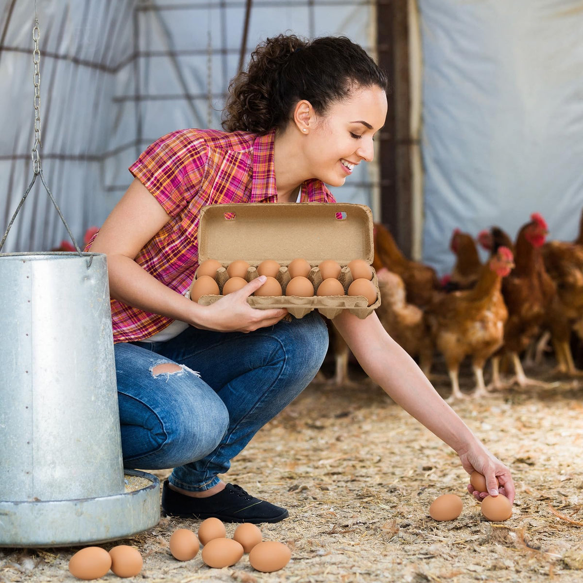 Easy to clean and reusable, a long-lasting coop accessory.