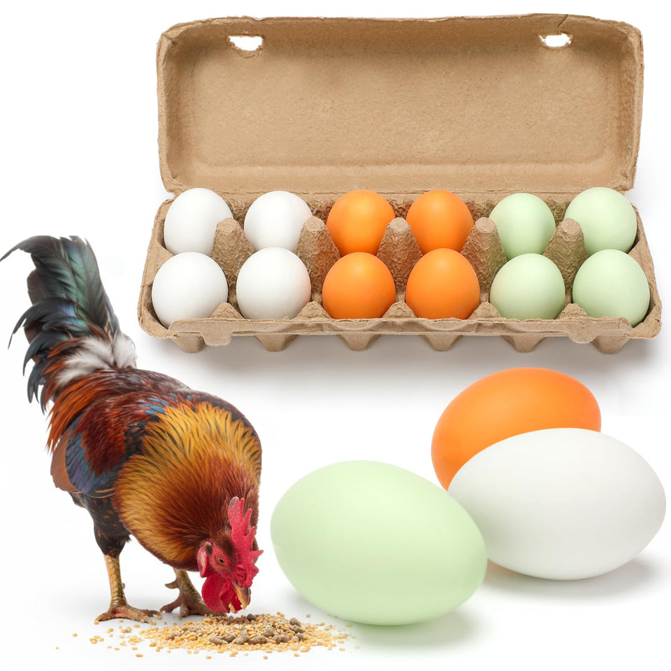 JolliLudo ceramic nesting eggs 12-pack guiding hens to designated laying spots