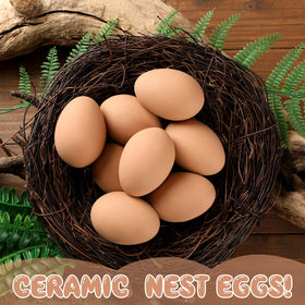 Durable ceramic eggs resist pecking and weather in coops.