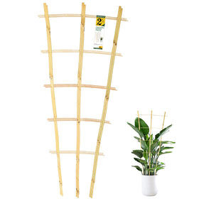 Jollybower 3pcs fan-shaped bamboo trellis in 2ft size supports climbing plants for better sun exposure.