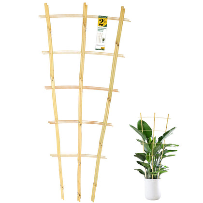 Jollybower 3pcs fan-shaped bamboo trellis in 2ft size supports climbing plants for better sun exposure.