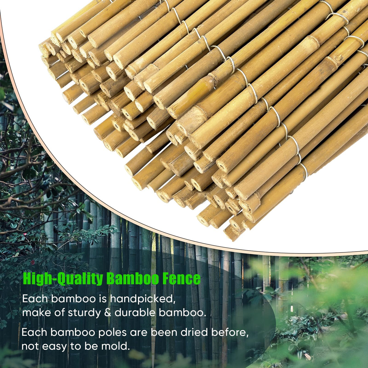Jollybower bamboo fence decor enhances yard scenery with a warm, natural texture.