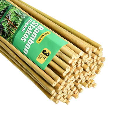 Jollybower bamboo stake 3 ft supports climbing plants with sturdy grip.