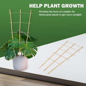 Jollybower bamboo trellis for indoor plants helps vines climb with stable support.