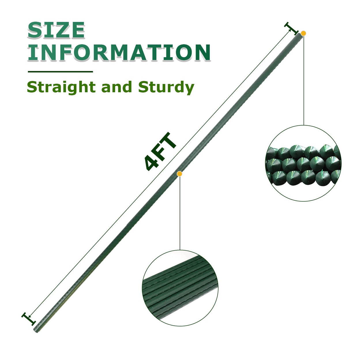 Jollybower bean-climbing stakes ideal for vertical growth and air circulation.