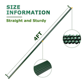 Jollybower bean-climbing stakes ideal for vertical growth and air circulation.