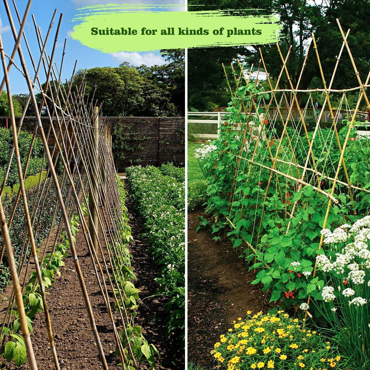 Jollybower bamboo stakes with smooth surface for easy insertion.