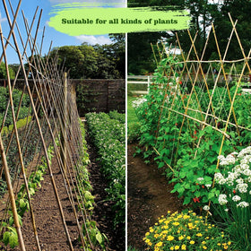 Jollybower bamboo stakes with smooth surface for easy insertion.