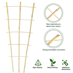 Jollybower flower pot trellis ladder design creates vertical space for sun-loving blooms.