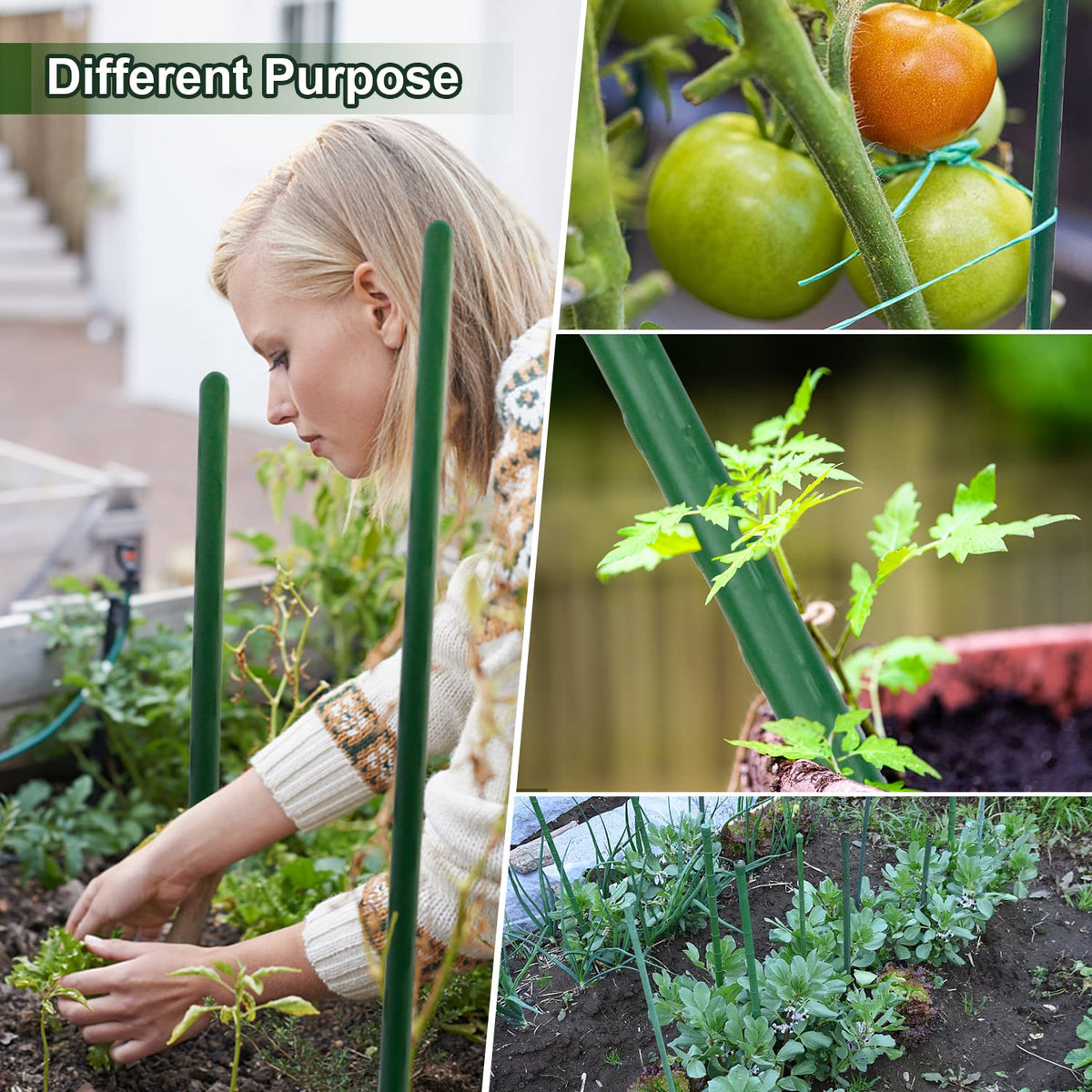 Jollybower flower support stakes shown stabilizing stems and protecting blooms.