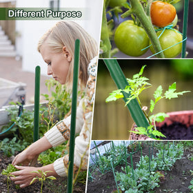 Jollybower flower support stakes shown stabilizing stems and protecting blooms.