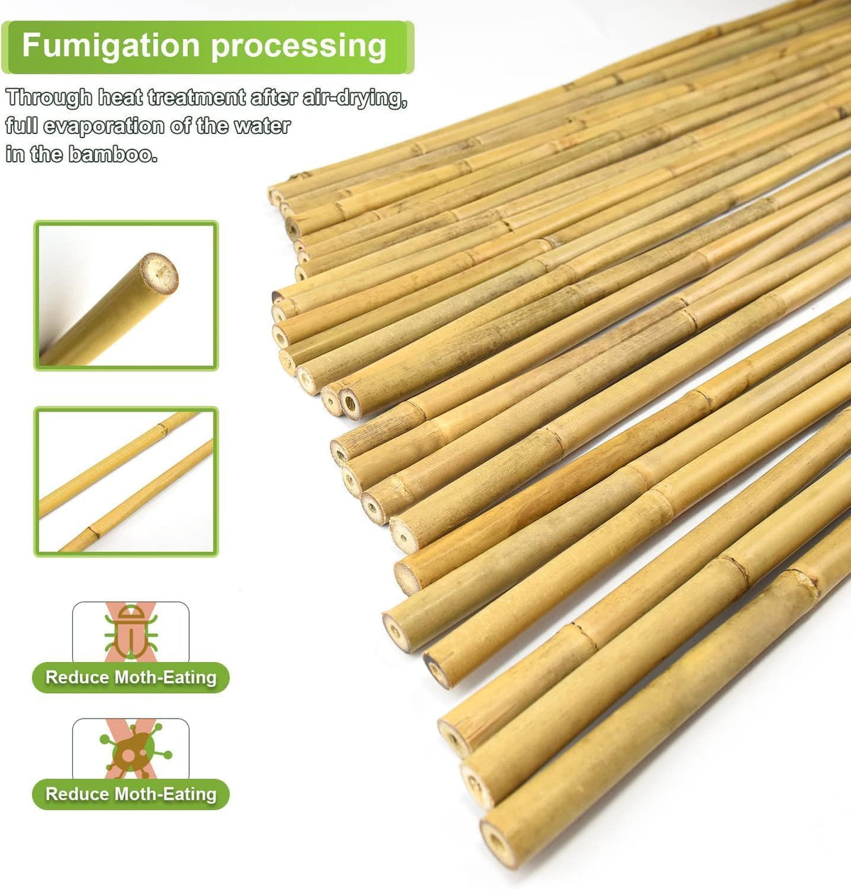 Jollybower heat-treated bamboo stake for long-lasting outdoor use.