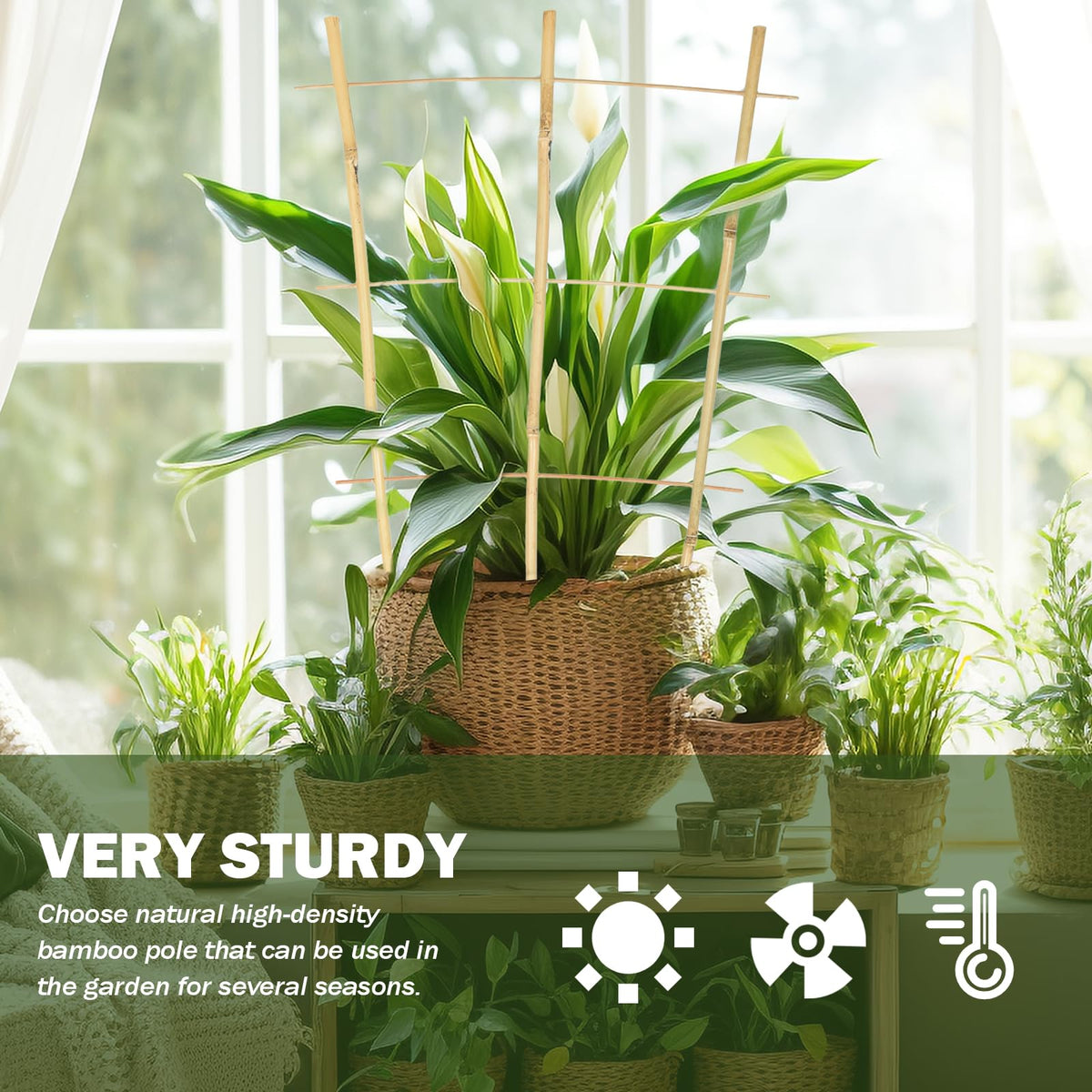Jollybower indoor trellis provides a lightweight frame to train cucumbers and flowers.