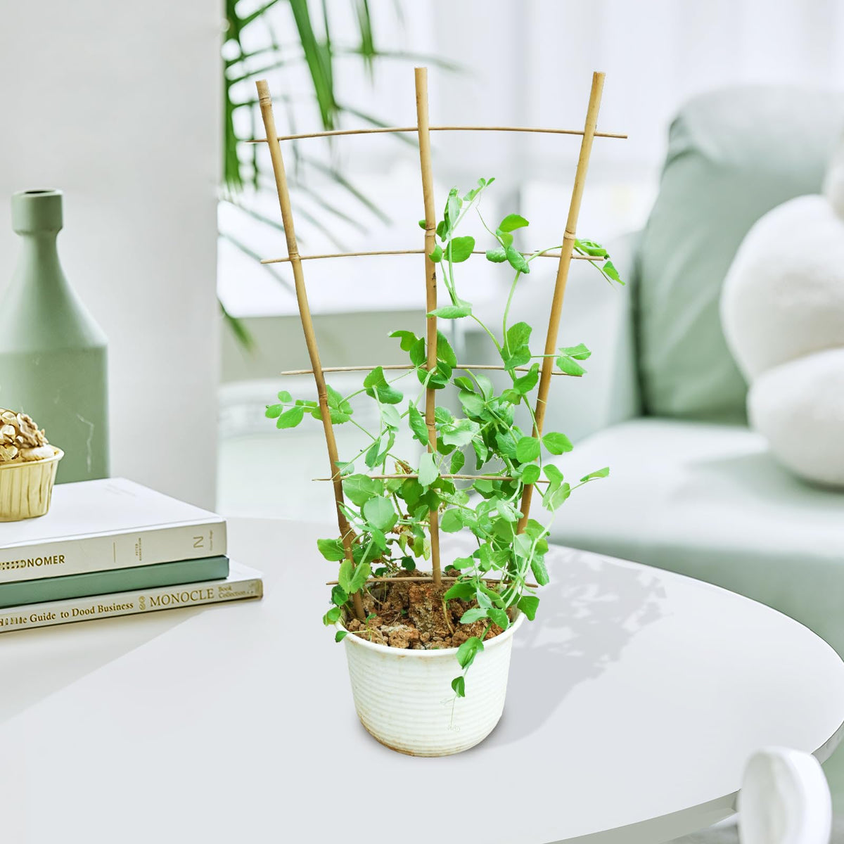 Jollybower season-ready bamboo lattice for indoor and outdoor use enhances plant display.