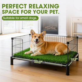 JOLLYDAY turf for dog play area shows soft, safe surface for daily canine fun.