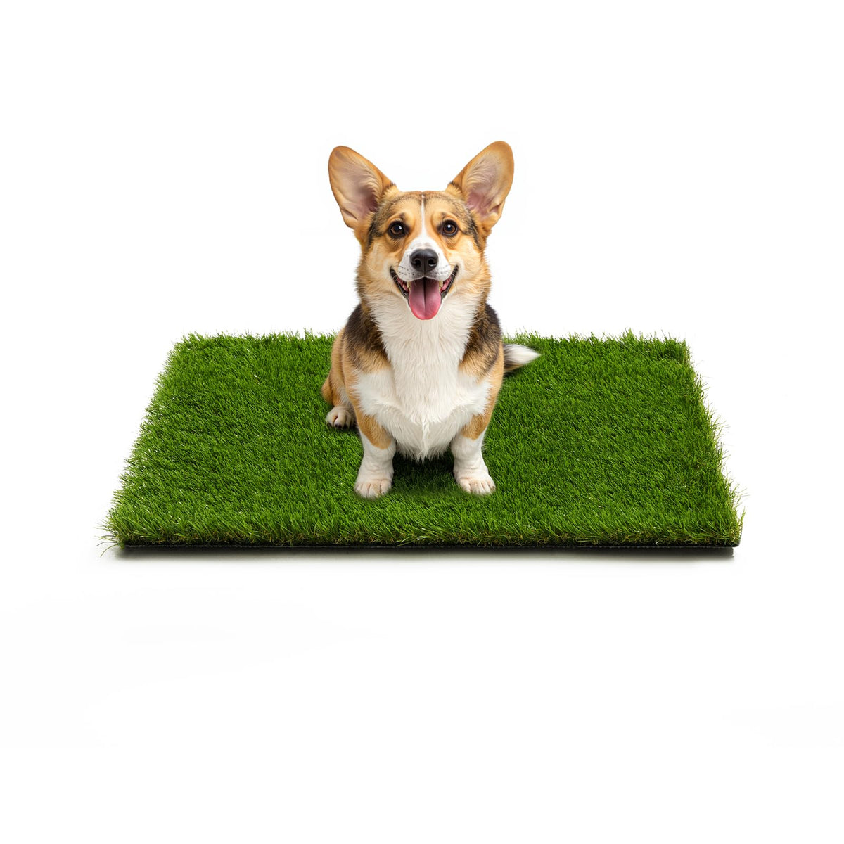 JOLLYDAY artificial grass on patio demonstrates a pet-friendly, low-maintenance outdoor area.