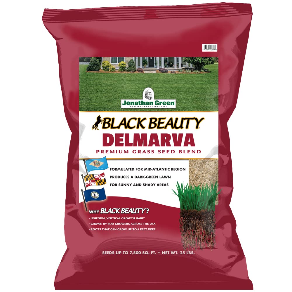 Jonathan Green Black Beauty Delmarva seed bag closeup for dense, dark-green lawns.