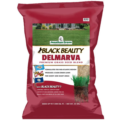 Jonathan Green Black Beauty Delmarva seed bag closeup for dense, dark-green lawns.
