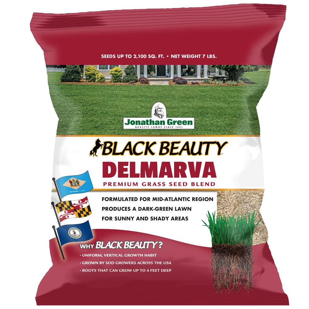 Jonathan Green Black Beauty Delmarva seed bag close-up showing premium tall fescue blend for dense lawns