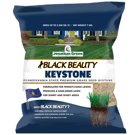 Jonathan Green Black Beauty Keystone PA seed bag front view for premium cool-season lawn.