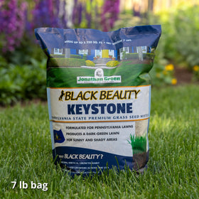 Jonathan Green Keystone PA seed in basket illustrates versatile turf for sun and shade.