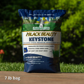 Jonathan Green seed being poured onto soil hints at quick germination and thick grass.