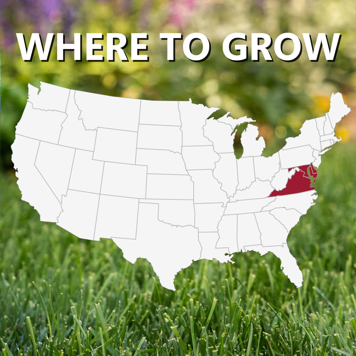 Jonathan Green Delmarva roots and waxy coating aid moisture retention.