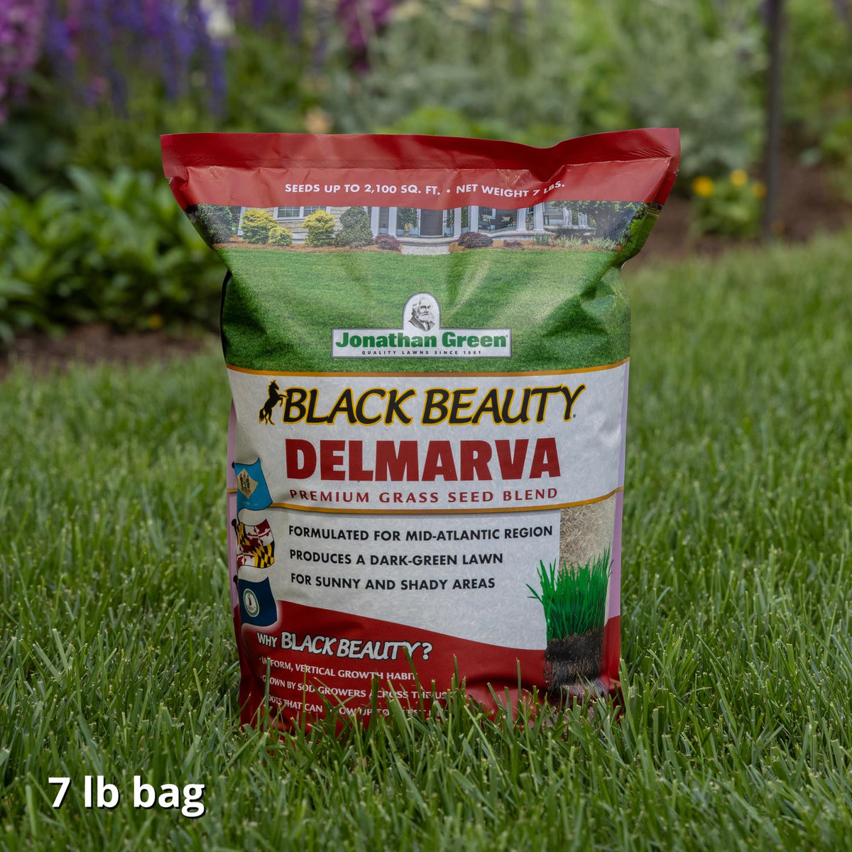 Jonathan Green Delmarva seed being spread on soil to promote even germination and growth