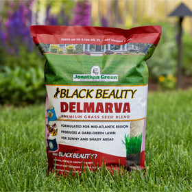 Jonathan Green Delmarva tall fescue blend supports versatile sun and shade lawns.