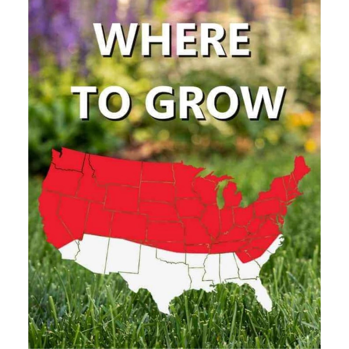 Even spread of Jonathan Green grass seed for uniform coverage