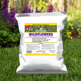 Jonathan Green Wildflower Meadow seed mix grass blade closeup showing hardy fescue blend.