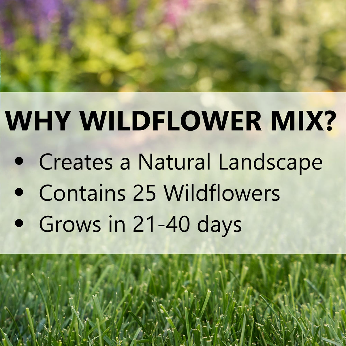 Jonathan Green Wildflower Meadow slopes erosion coverage shot highlights low-maintenance groundcover.