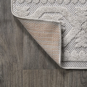 Pet-friendly construction of the Jonathan Y rug reduces dirt buildup in entryways.