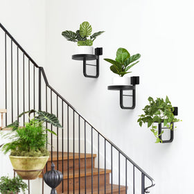JOPBENG vertical garden idea with trailing plants on a wall.