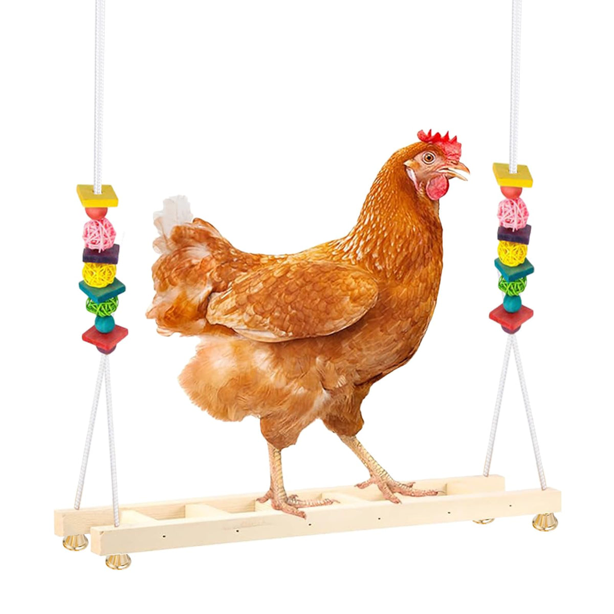Jorewood chicken coop swing mounted inside coop for exercise and enrichment.