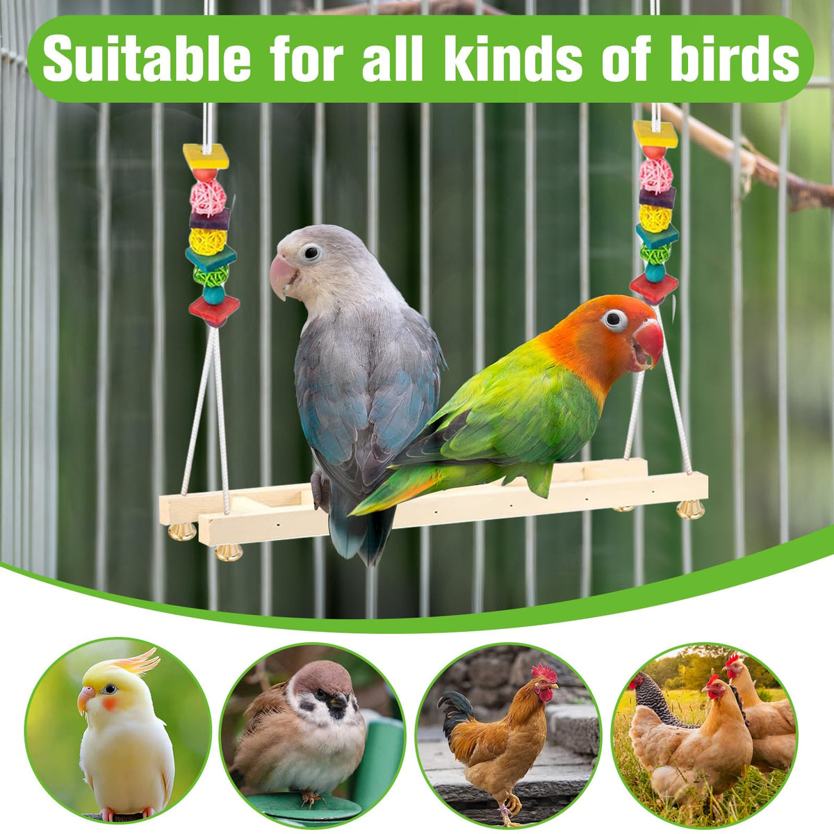 Jorewood chicken swing enabling several birds to perch together.