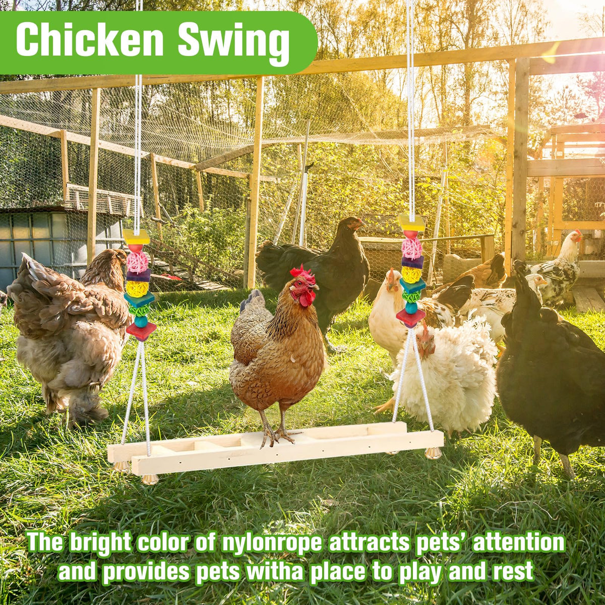Jorewood perch in outdoor space as flock-friendly exercise zone.