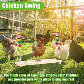 Jorewood perch in outdoor space as flock-friendly exercise zone.