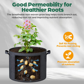 Jorvila drainage-friendly design helps prevent overwatering in pots.